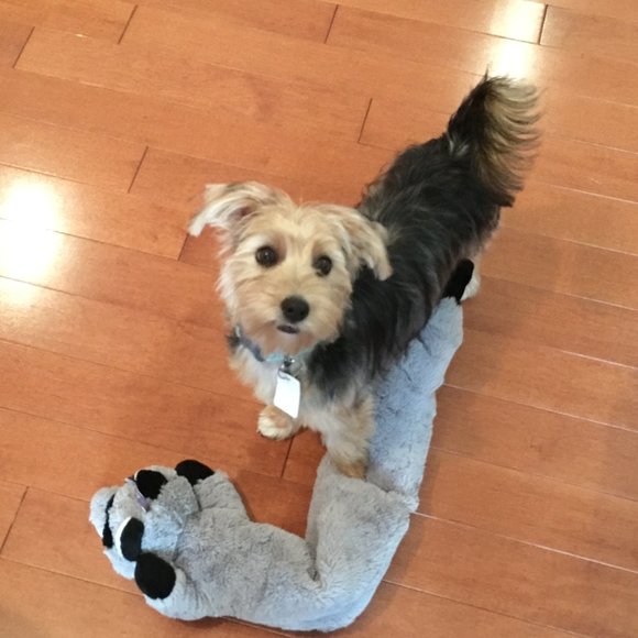 Meet your Posher, Michelle - Picture 7 of 16